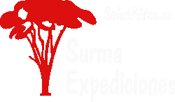 Logo-Surma