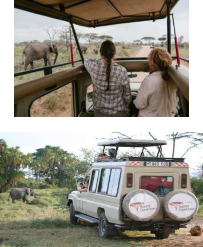 Safari en el Masai Mara